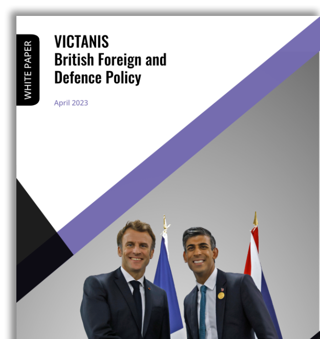 ebook small cover victanis
